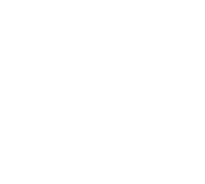 dot-29