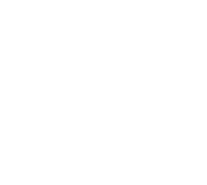 dot-38